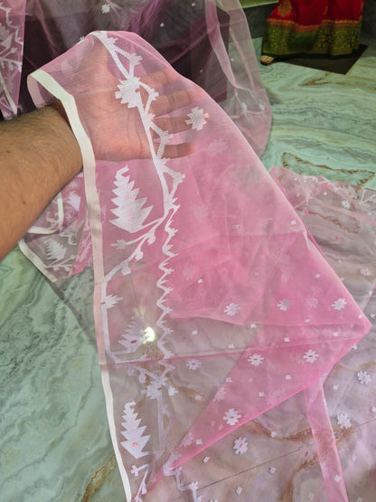 Reshma silk jamdani saree