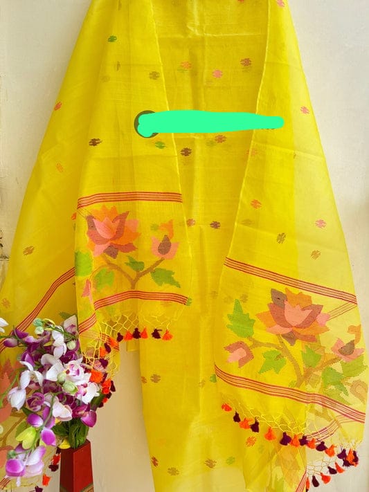 Jamdhani unstitched suits