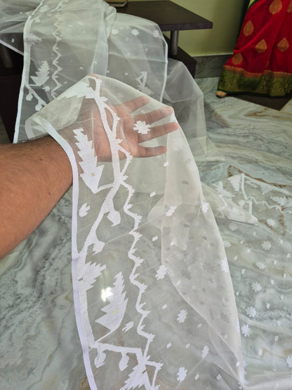 Resham silk jamdani sarees